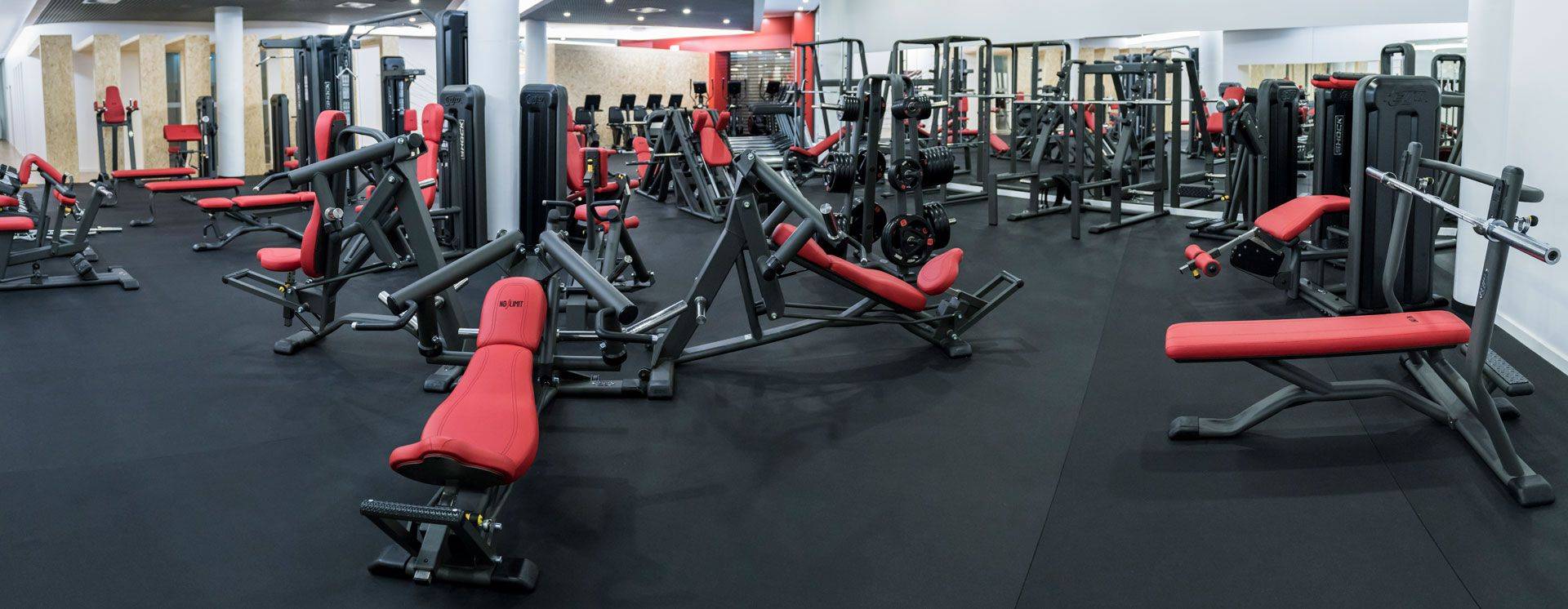 Appareils et Machines de Musculation Professionnels de Light In Fitness