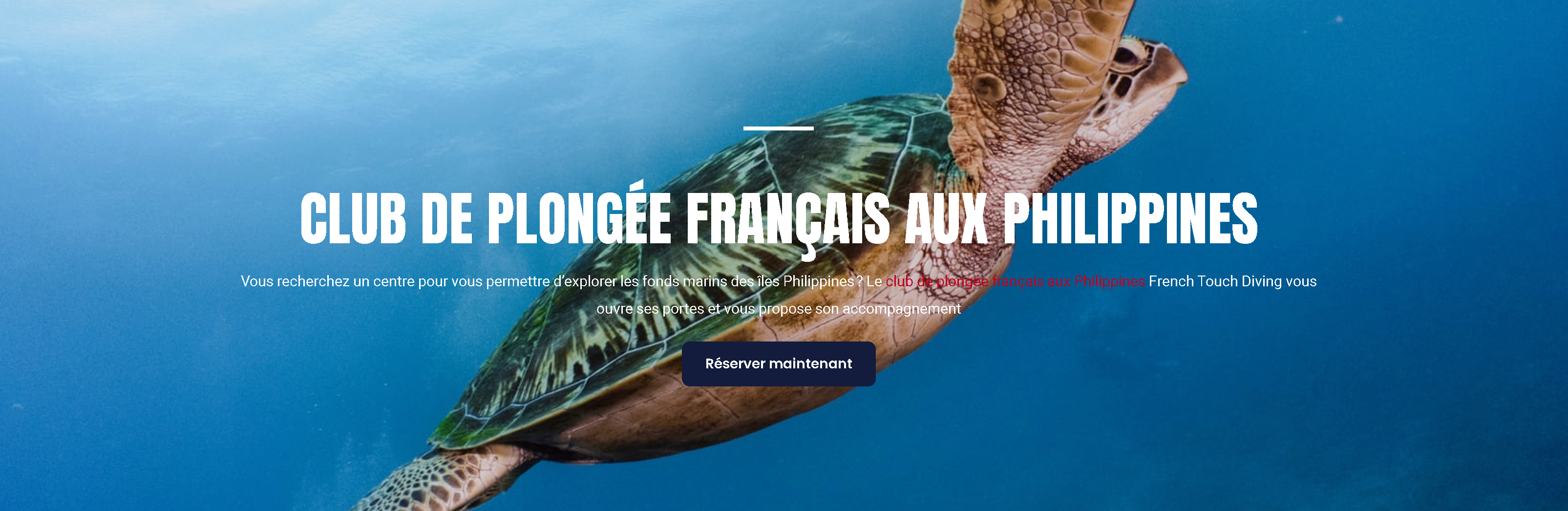 Plonger sous la French Touch - Une immersion dans l'expérience ultime de la plongée sous-marine à Malte et aux Philippines