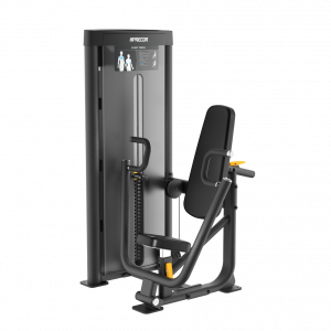 20230913 chest20press full.png