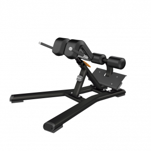 DBR031220Back20Extension full.png