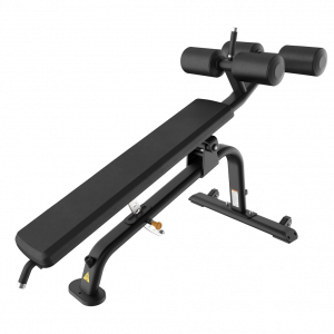 VBR206113 Decline20Ab20Bench full.png