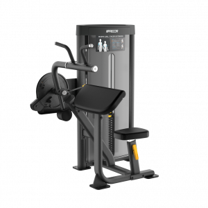 VSLC025BP20Biceps20Curl Triceps20Extension full.png