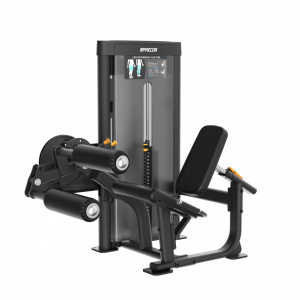 VSLC027BP20Leg20Extension Leg20Curl full.png